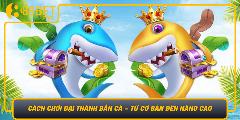 Cach Choi Dai Thanh Ban Ca Tu Co Ban Den Nang Cao