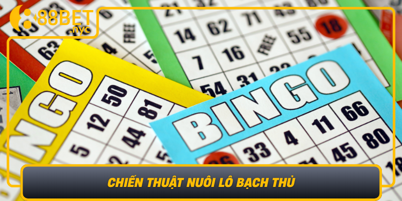 Chien Thuat Nuoi Lo Bach Thu Bi Quyet Tu Cac Cao Thu Viet Nam