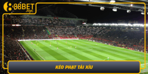 Keo Phat Tai Xiu Meo Tang Ty Le Thang Dinh Cao Tai 888Bet