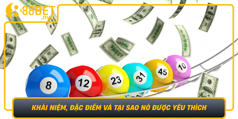 Lo Cap Mien Bac Khai Niem Dac Diem Va Tai Sao No Duoc Yeu Thich1
