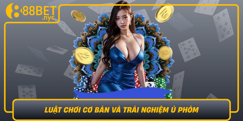 Luat Choi Co Ban Va Trai Nghiem U Phom Tren Nen Tang 888Bet