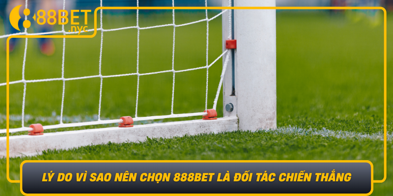 Ly Do Vi Sao Nen Chon 888Bet La Doi Tac Chien Thang