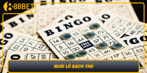 Nuoi Lo Bach Thu Bi Quyet Choi Hieu Qua Tu Cao Thu 888Bet