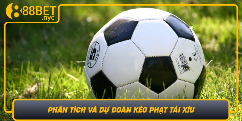 Phan Tich Va Du Doan Keo Phat Tai Xiu Bi Quyet Thanh Cong