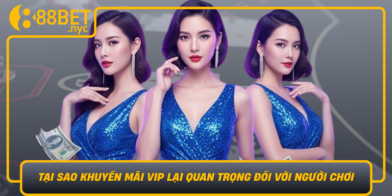 Tai Sao Khuyen Mai Vip Lai Quan Trong Doi Voi Nguoi Choi Chuyen Nghiep