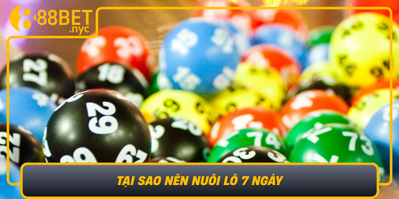 Tai Sao Nen Nuoi Lo 7 Ngay Loi Ich Vuot Troi Trong Choi Xo So