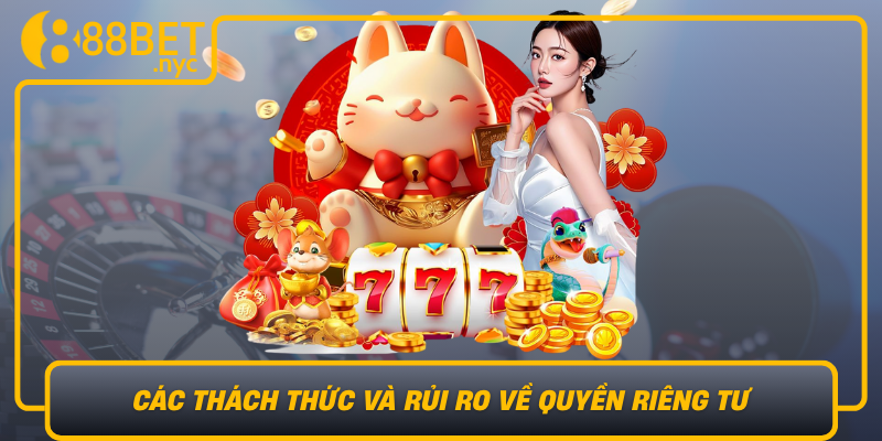 Cac Thach Thuc Va Rui Ro Ve Quyen Rieng Tu Truc Tuyen