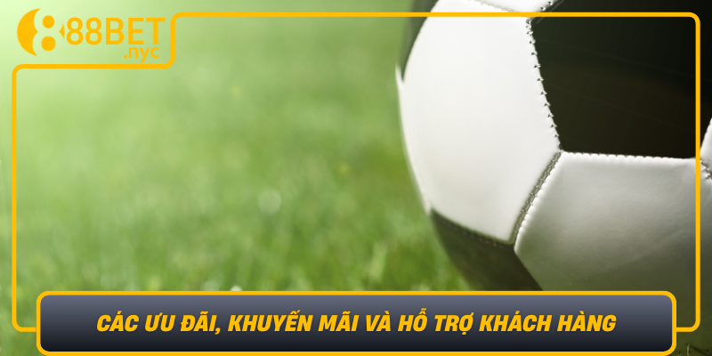 Cac Uu Dai Khuyen Mai Va Ho Tro Khach Hang Tai The Thao 888Bet