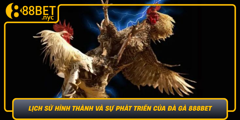 Lich Su Hinh Thanh Va Su Phat Trien Cua Da Ga 888Bet